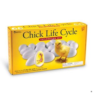 Жизненный цикл цыпленка. LER2733