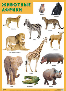 Животные Африки. Плакат Мозаика