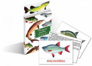Дидактические карточки.Гений.Речные рыбы