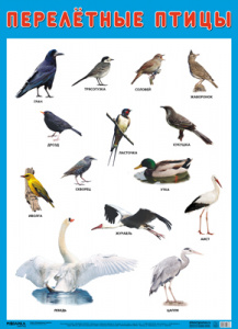 Перелетные птицы. Плакат . Мозаика