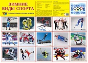 Зимние виды спорта. Плакат А2 Сфера