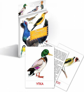 Дидактические карточки.Гений.Птицы наших лесов