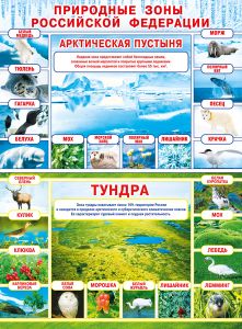 071.390 Природные зоны РФ. Ледяная зона/Тундра. Плакат А2