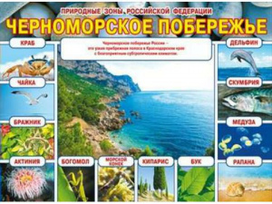 070.237 Природные зоны РФ. Черноморское побережье. Плакат А2