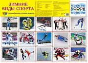 Зимние виды спорта. Плакат А2 Сфера