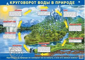 Круговорот воды в природе. Плакат А2 Сфера