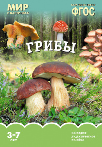 Мир в картинках. Грибы. ФГОС