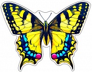 9652 Мини-плакат Бабочка Махаон
