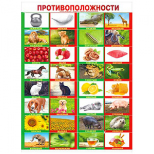 070.419 Противоположности. Плакат А2