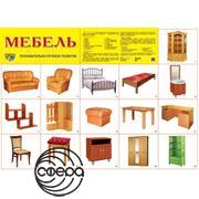Мебель. Плакат А2 Сфера