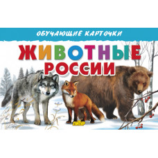 Животные России/ ЛИТУР \ ОБУЧКАРТ/