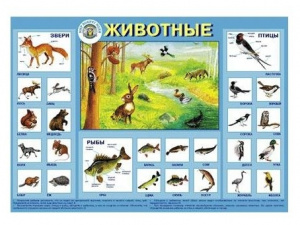 Животные. Плакат. М.Гений