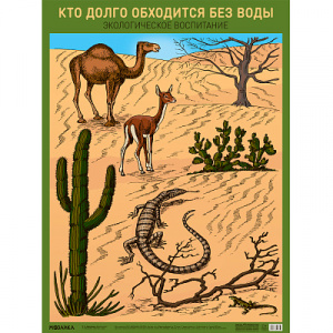Кто долго обходится без воды. Плакат. Мозаика.