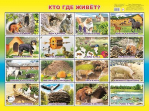 Кто где живет? Плакат А2 Леда