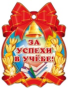 6393 За успехи в учебе