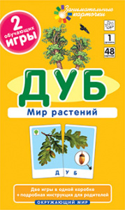 Дуб. Мир растений.Айрис