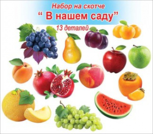 3001074 В нашем саду. Набор 