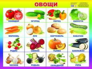 Овощи. Плакат А2 Леда