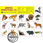 Дикие животные 2. Плакат А2 Сфера