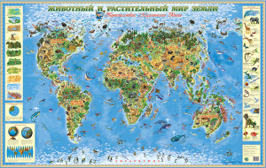 Животный и растительный мир Земли. Карта. М.Гений
