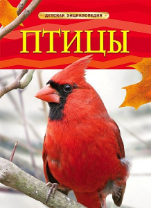 Птицы. ДетЭнц Росмэн.