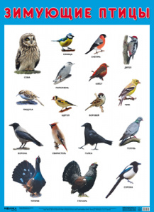 Зимующие птицы. Плакат . Мозаика