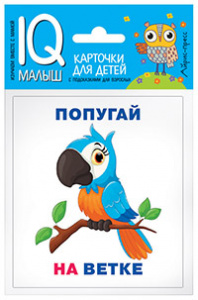 Умный малыш. Кто где находится? Айрис