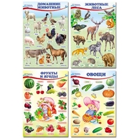 Комплект плакатов Домашние,лесные животные,фрукты,ягоды,овощи. (4л.А4+текст) Сфера