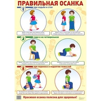 Правильная осанка. Плакат А2 Сфера