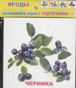 Ягоды. Обуч/карт.Леда