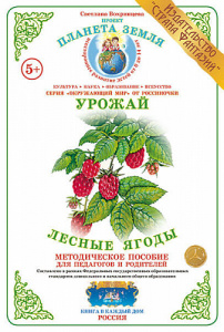 Лесные ягоды. Дидактический материал А4. Вохринцева