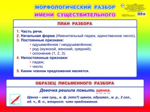 Морфологический разбор имени существительного (НШ). Плакат. Леда