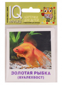 Умный малыш. Аквариумные рыбки. Айрис