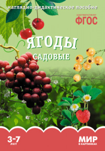 Мир в картинках. Ягоды садовые. ФГОС