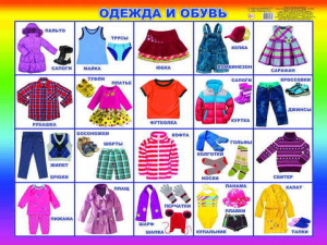 Одежда и обувь. Плакат А2 Леда