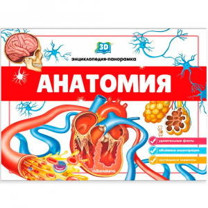 POP UP энциклопедия-панорамка. Анатомия. Mallamalama