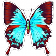 9653 Мини-плакат Бабочка Парусник