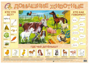 Домашние животные. Плакат. М.Гений