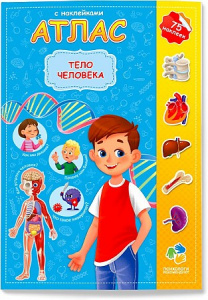Атлас с наклейками. Тело человека. ГеоДом
