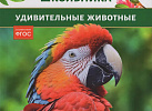 Удивительные истории о женщинах (сборник). АСТ