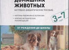 Картины из жизни домашних животных. А3 ФГОС